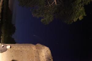 image comte_Nowis_5.jpg (7.4MB)