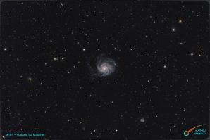 image M101_Galaxie_du_Moulinet.jpg (0.2MB)