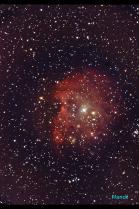 image NGC_2175_Nbuleuse_de_la_Tte_de_Singe.jpg (0.9MB)