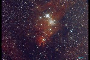 image NGC_2264_Nbuleuse_du_Cne.jpg (0.8MB)