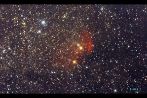 image NGC_6871_Nbuleuse_de_la_Tulipe.jpg (0.5MB)