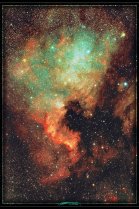 NGC 7000 - Nébuleuse de l'Amérique du Nord