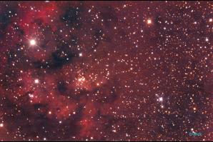 image NGC_7822_Nbuleuse_de_Cphe2.jpg (0.8MB)