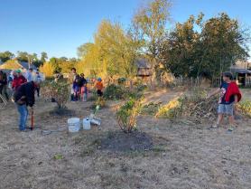 image photo_1.jpg (0.7MB)