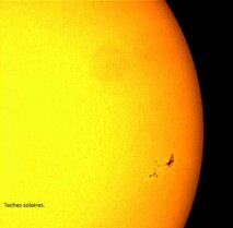 image TACHE.jpg (0.2MB)