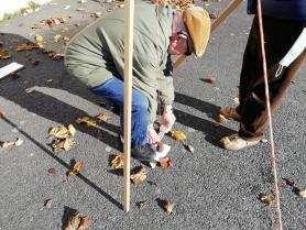 image Photo_12.jpg (0.7MB)